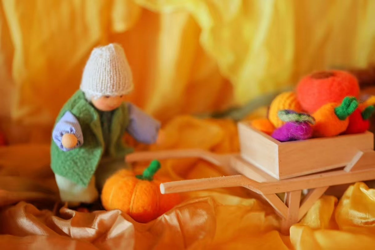 Waldorf Teacher's Handicrafts--Customization Welcome