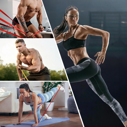 Resistance Bands for WorkOut: 4-Levels Exercise Bands Set - Pull Up Assistance Elastic Silicone - Physical Therapy/Stretching/Training - Home Gym for Women/Men